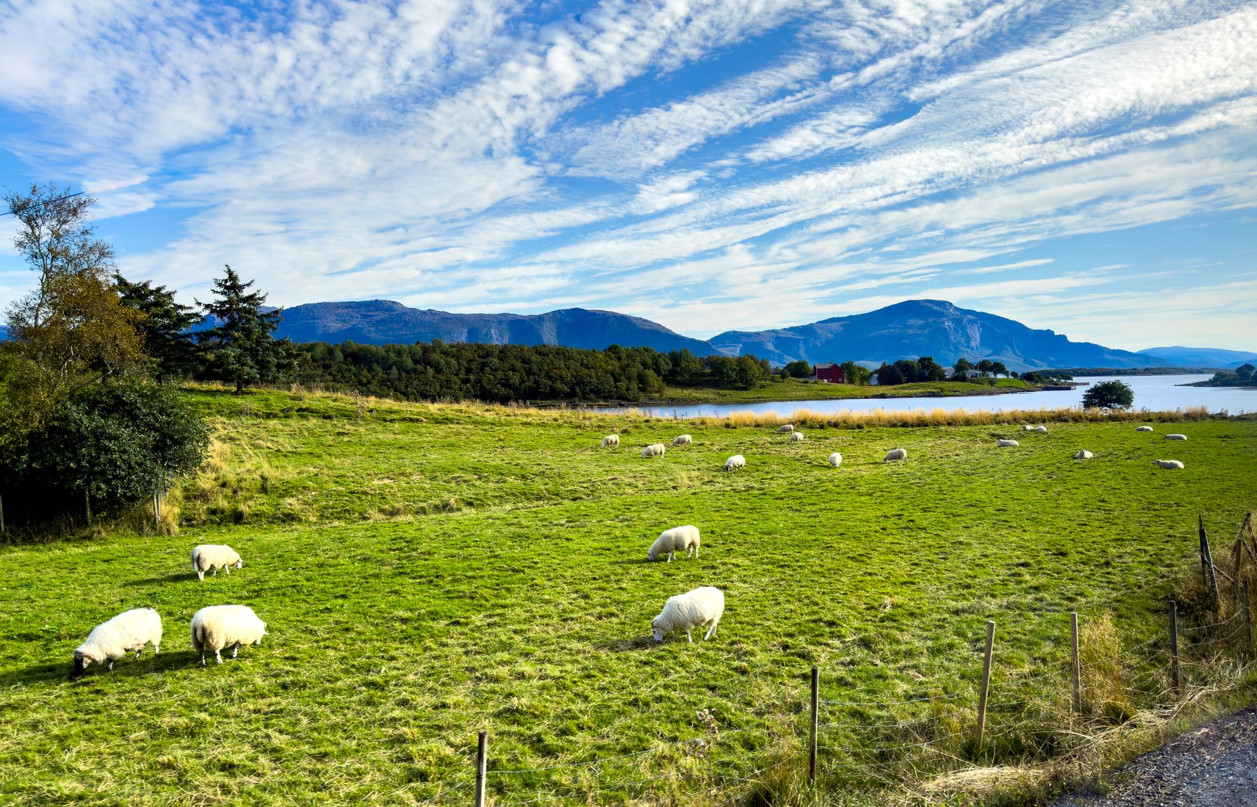Pastoral Brønnøysund